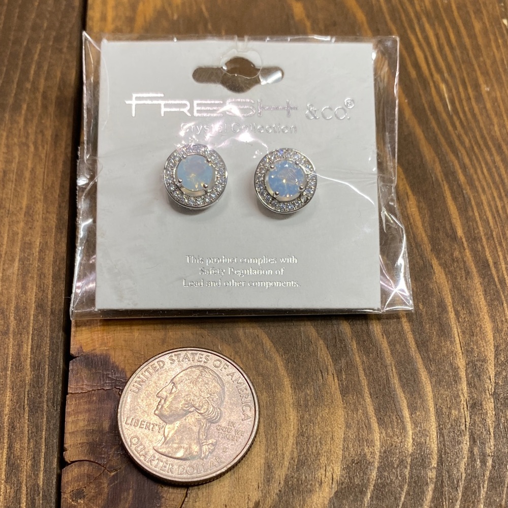 Crystal Collection Silver Tone Stud Earrings NWT - Picture 5 of 5